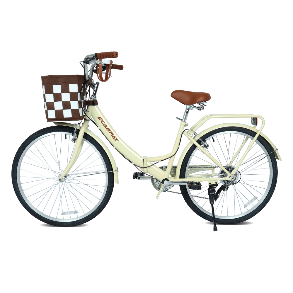 Bicicleta Urbana Plegable A262 - Carbon Bike Frame reseña y precio